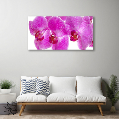 Quadro em tela Flores Planta Natureza