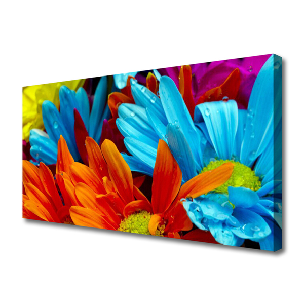 Quadro canvas Flores Planta Natureza