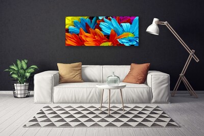 Quadro canvas Flores Planta Natureza