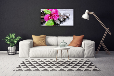 Quadro em tela Planta de orquídea flor