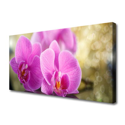 Quadro em tela Flores Planta Natureza