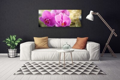 Quadro em tela Flores Planta Natureza