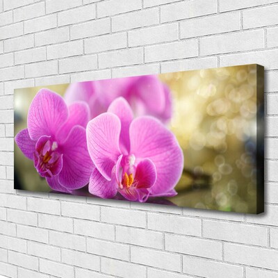 Quadro em tela Flores Planta Natureza