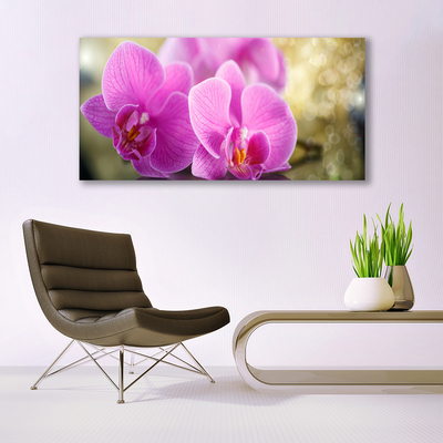 Quadro em tela Flores Planta Natureza