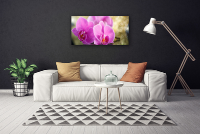 Quadro em tela Flores Planta Natureza