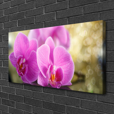 Quadro em tela Flores Planta Natureza
