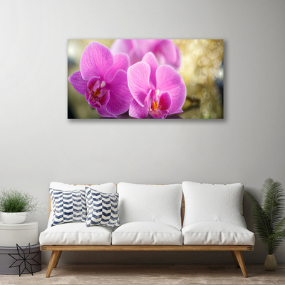 Quadro em tela Flores Planta Natureza