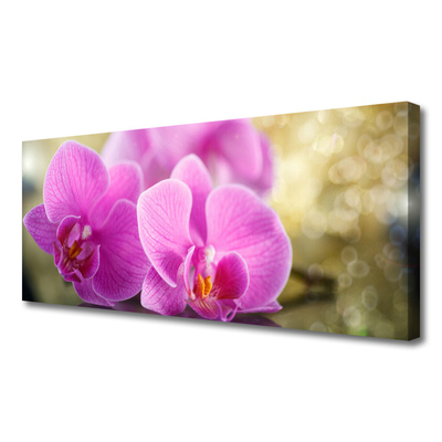 Quadro em tela Flores Planta Natureza