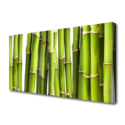 Quadro canvas Natureza da planta de bambu