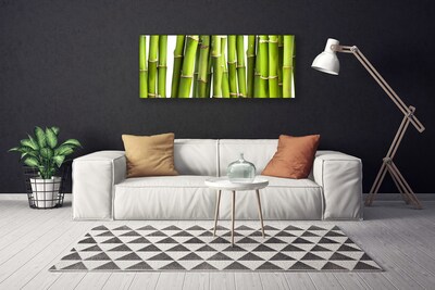 Quadro canvas Natureza da planta de bambu