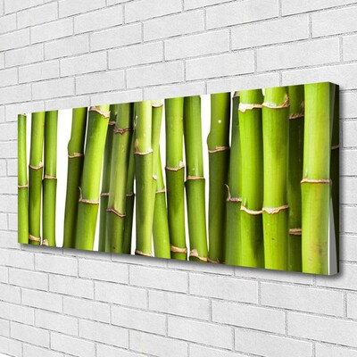 Quadro canvas Natureza da planta de bambu