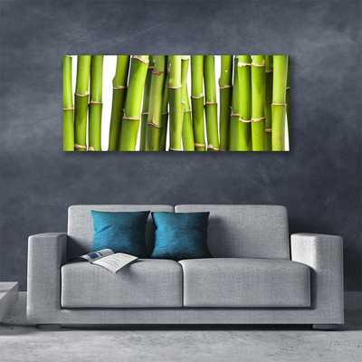 Quadro canvas Natureza da planta de bambu