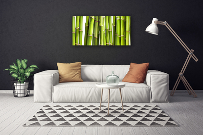 Quadro canvas Natureza da planta de bambu