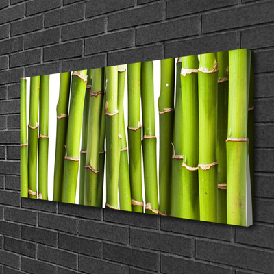 Quadro canvas Natureza da planta de bambu