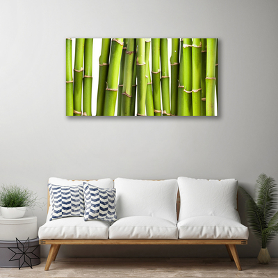 Quadro canvas Natureza da planta de bambu
