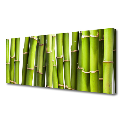 Quadro canvas Natureza da planta de bambu