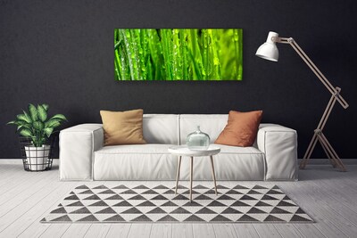 Quadro em tela Natureza da planta grama