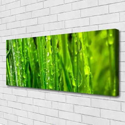 Quadro em tela Natureza da planta grama