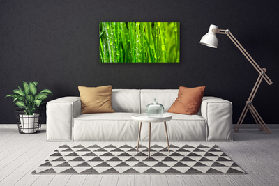Quadro em tela Natureza da planta grama