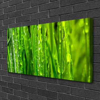 Quadro em tela Natureza da planta grama