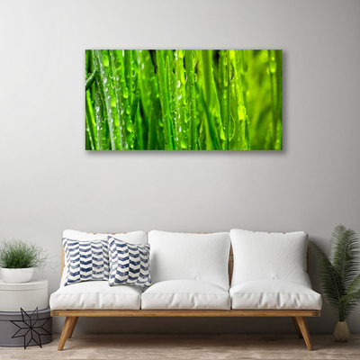 Quadro em tela Natureza da planta grama