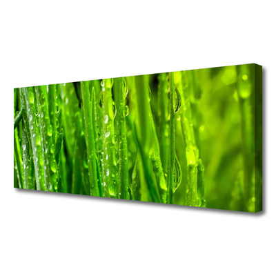 Quadro em tela Natureza da planta grama