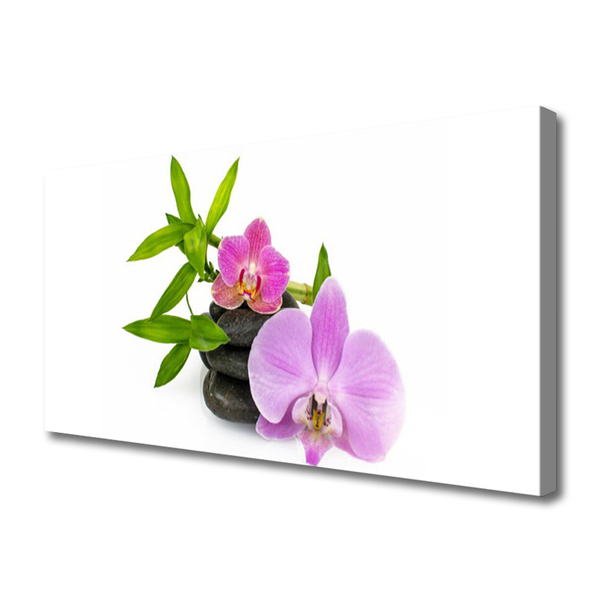 Quadro canvas Planta de orquídea flor