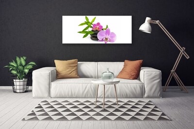 Quadro canvas Planta de orquídea flor