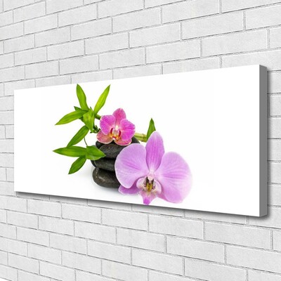 Quadro canvas Planta de orquídea flor