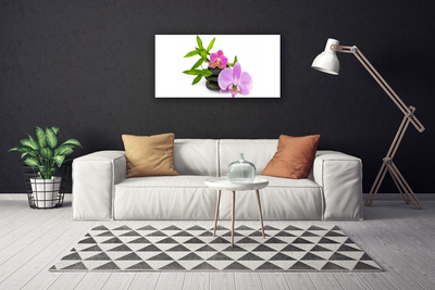 Quadro canvas Planta de orquídea flor