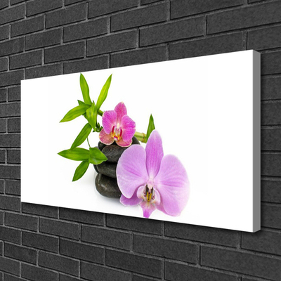 Quadro canvas Planta de orquídea flor