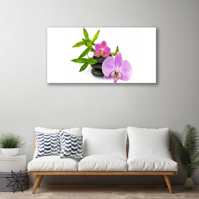 Quadro canvas Planta de orquídea flor