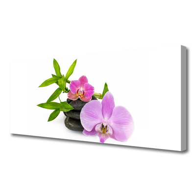 Quadro canvas Planta de orquídea flor