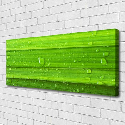 Quadro em tela Natureza da planta grama