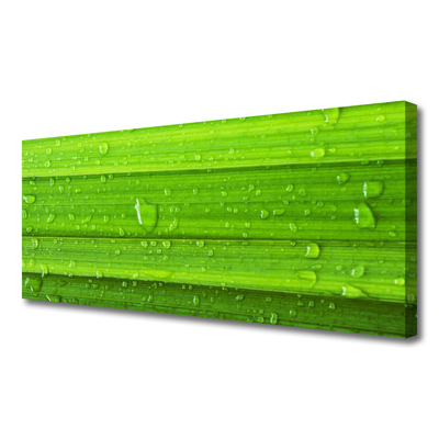 Quadro em tela Natureza da planta grama