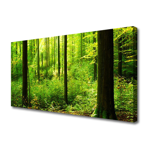Quadro canvas Floresta Verde Árvores Natureza