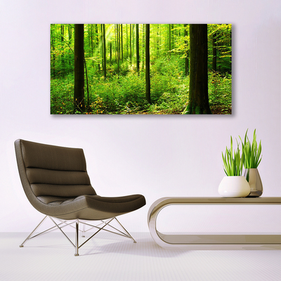 Quadro canvas Floresta Verde Árvores Natureza
