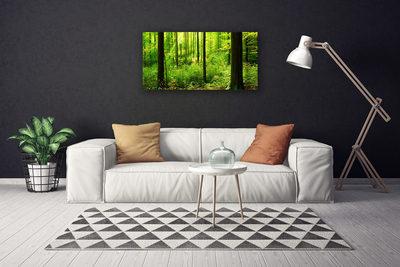 Quadro canvas Floresta Verde Árvores Natureza