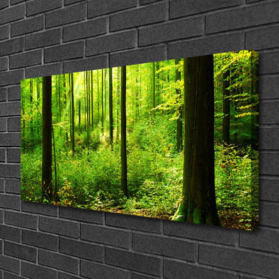 Quadro canvas Floresta Verde Árvores Natureza