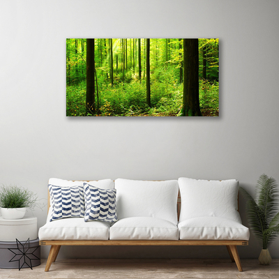 Quadro canvas Floresta Verde Árvores Natureza