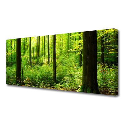 Quadro canvas Floresta Verde Árvores Natureza