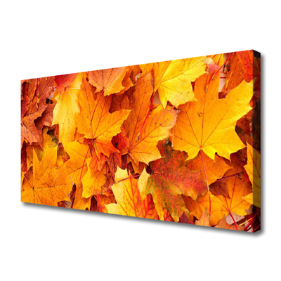 Quadro canvas Folhas Natureza Planta