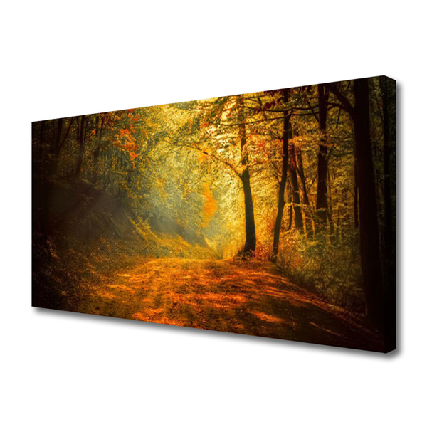 Quadro em tela Caminho da Floresta Árvores Natureza