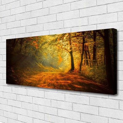 Quadro em tela Caminho da Floresta Árvores Natureza