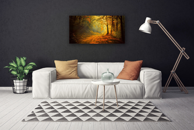 Quadro em tela Caminho da Floresta Árvores Natureza