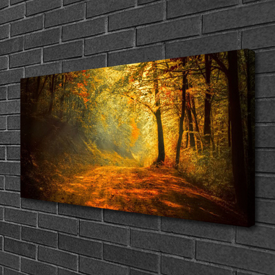 Quadro em tela Caminho da Floresta Árvores Natureza