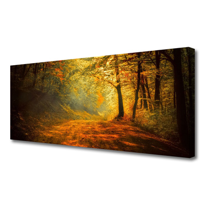 Quadro em tela Caminho da Floresta Árvores Natureza