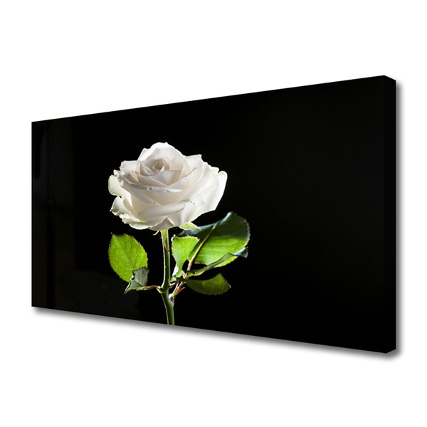 Quadro canvas Rosa Flor Planta Natureza