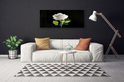Quadro canvas Rosa Flor Planta Natureza