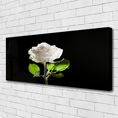 Quadro canvas Rosa Flor Planta Natureza